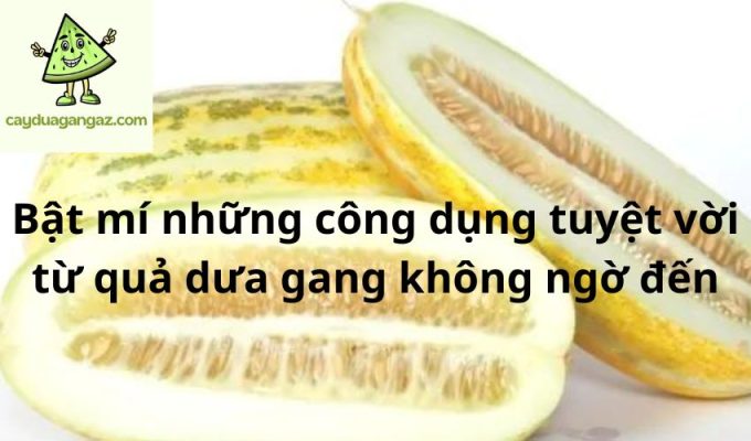 Bật mí những công dụng tuyệt vời từ quả dưa gang không ngờ đến