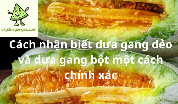 Cách nhận biết dưa gang dẻo và dưa gang bột một cách chính xác