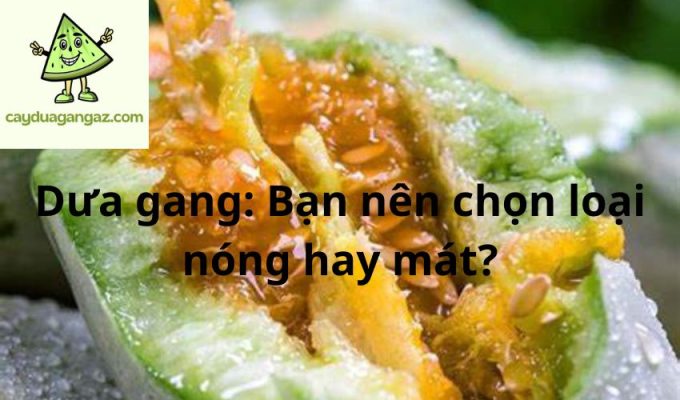 Dưa gang: Bạn nên chọn loại nóng hay mát?