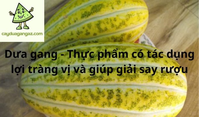 Dưa gang - Thực phẩm có tác dụng lợi tràng vị và giúp giải say rượu