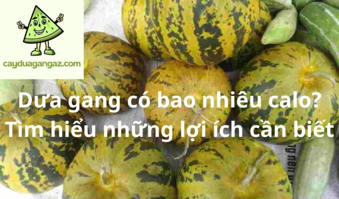 Dưa gang có bao nhiêu calo? Tìm hiểu những lợi ích cần biết