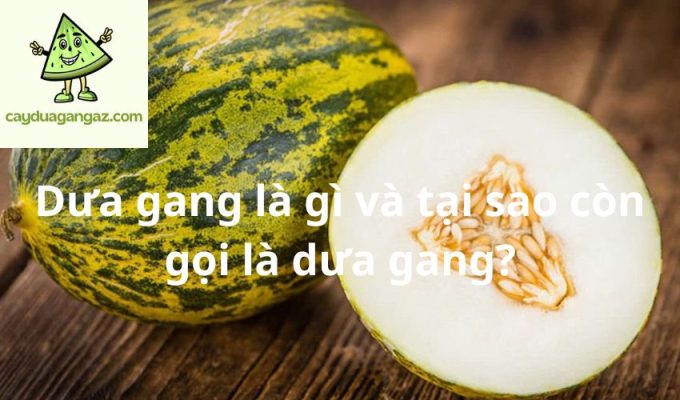 Dưa gang là gì và tại sao còn gọi là dưa gang?