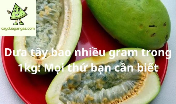 Dưa tây bao nhiều gram trong 1kg: Mọi thứ bạn cần biết