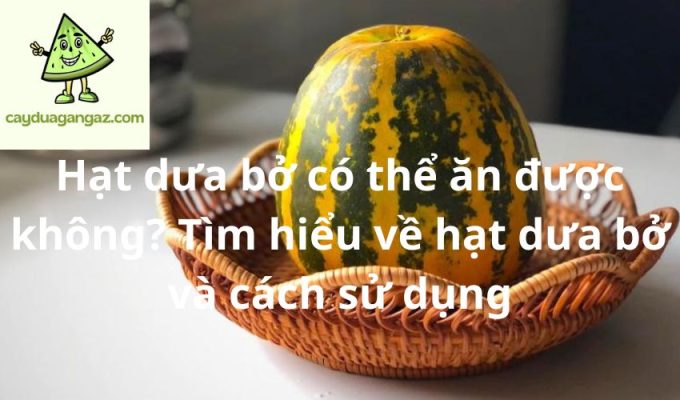 Hạt dưa bở có thể ăn được không? Tìm hiểu về hạt dưa bở và cách sử dụng