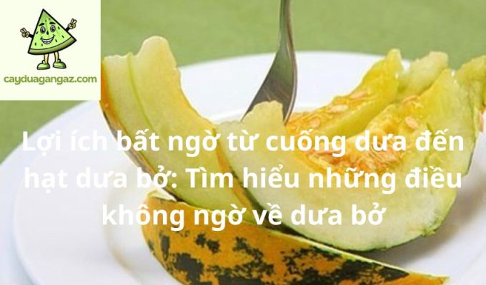 Lợi ích bất ngờ từ cuống dưa đến hạt dưa bở: Tìm hiểu những điều không ngờ về dưa bở