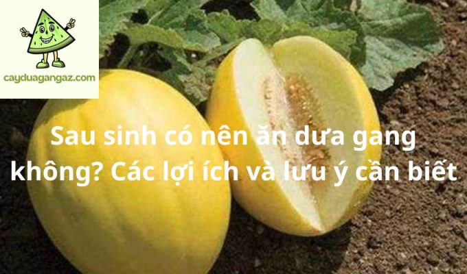 Sau sinh có nên ăn dưa gang không? Các lợi ích và lưu ý cần biết