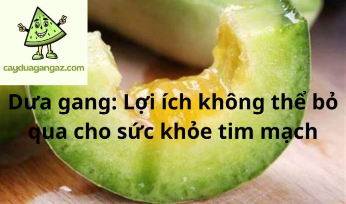 Dưa gang: Lợi ích không thể bỏ qua cho sức khỏe tim mạch