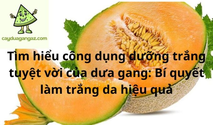 Tìm hiểu công dụng dưỡng trắng tuyệt vời của dưa gang: Bí quyết làm trắng da hiệu quả